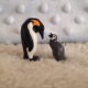 Mamá Pingüino