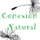 Conexionatural