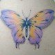 mamas mariposa