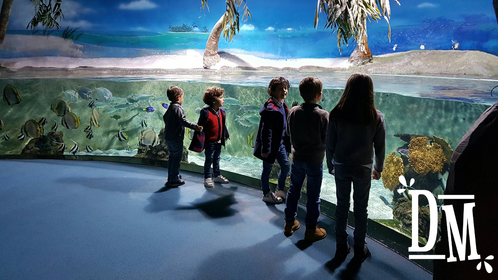 El Acuario de Gijón, el mejor plan con los niños