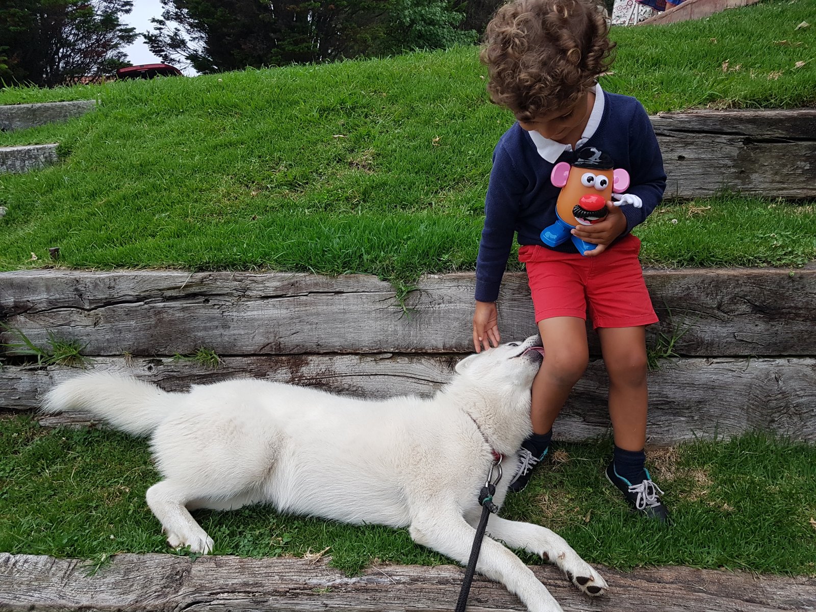 Cuidar una mascota antes de los 65 años + sorteo Mrs Potato